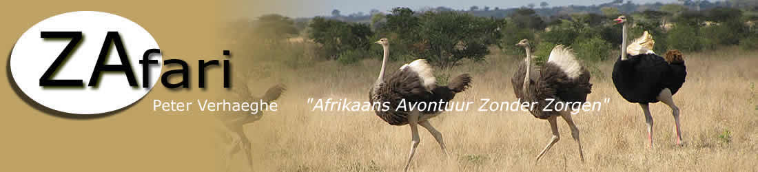 Experience an African adventure safely and comfortably 